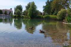 IMG-20220817-WA0006
