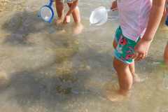 IMG-20220817-WA0009