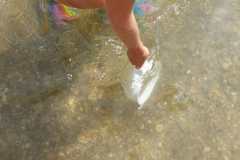 IMG-20220817-WA0010
