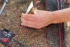 IMG-20220817-WA0015