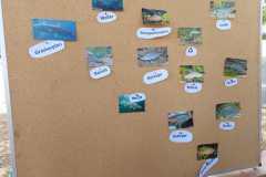 IMG-20220817-WA0019