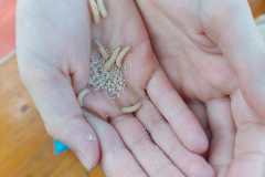 IMG-20220817-WA0020