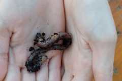 IMG-20220817-WA0022