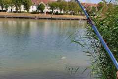 IMG-20220817-WA0025