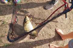 IMG-20220817-WA0026
