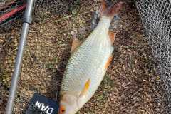 IMG-20220817-WA0027