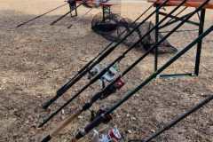 IMG-20220819-WA0008