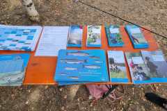 IMG-20220819-WA0009