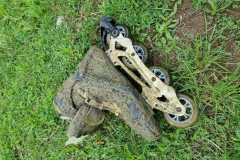 IMG-20230806-WA0013